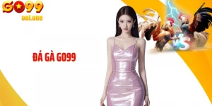 Đá Gà GO99 - Trực Tuyến Mượt Mà, Cược Đa Dạng Và Thưởng Cao