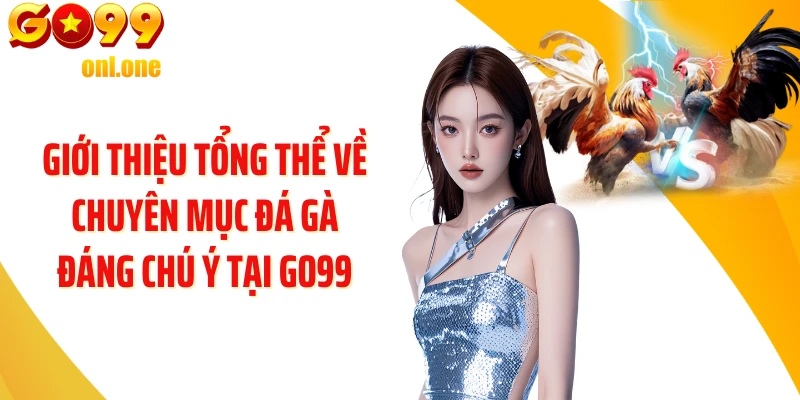Giới thiệu tổng thể về chuyên mục Đá gà đáng chú ý tại GO99